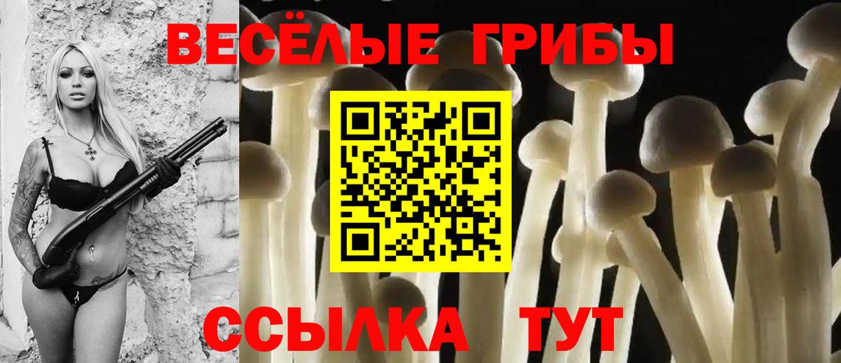 Псилоцибиновые грибы мухоморы  Галлюциногенные грибы MAGIC MUSHROOMS  закладки  Усинск  Вход с VPN 